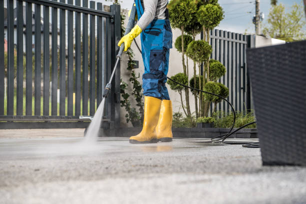 Best Sidewalk and Walkway Cleaning  in Buckeystown, MD